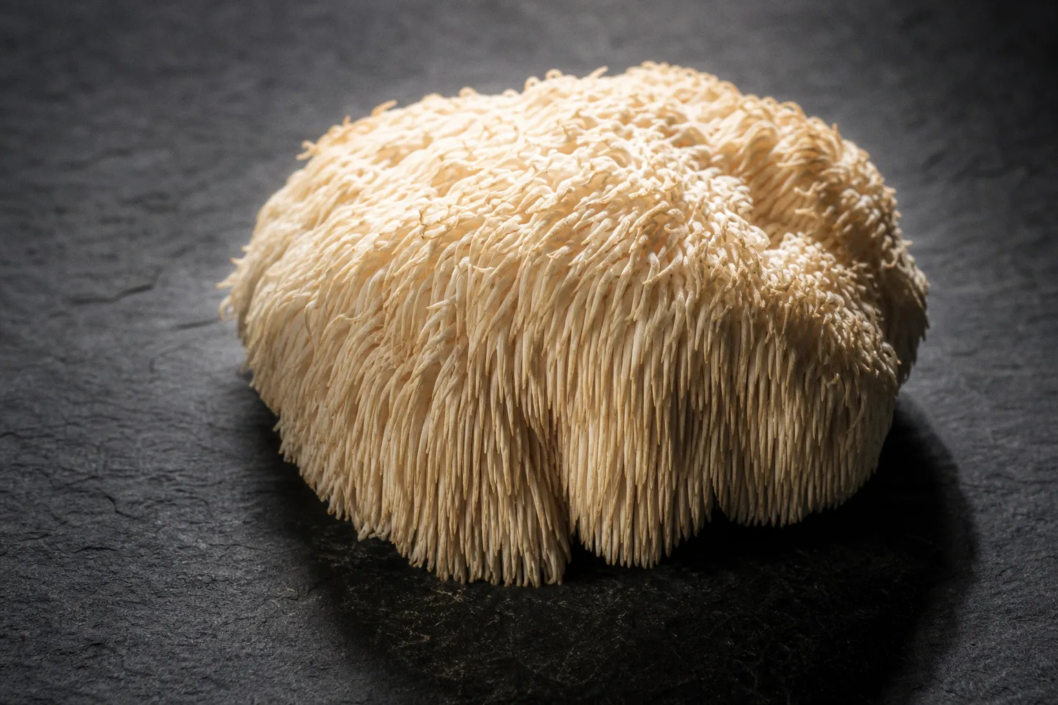 Nootropics mushrooms: which species actually boost focus?